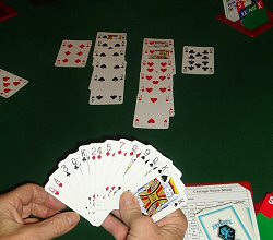 Largest Bridge Clubs in Canada